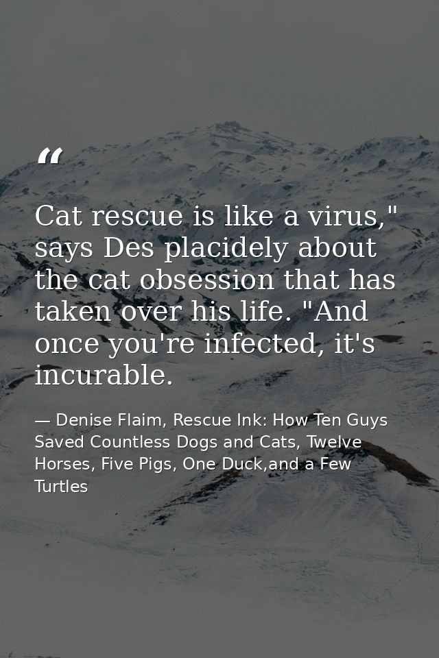 Cat rescue is like a virus," says Des placidely about the cat obsession that has taken over his life. "And once you're i — Denise Flaim, Rescue Ink: How Ten Guys Saved Countless Dogs and Cats, Twelve Horses, Five Pigs, One Duck,and a Few Turtles
