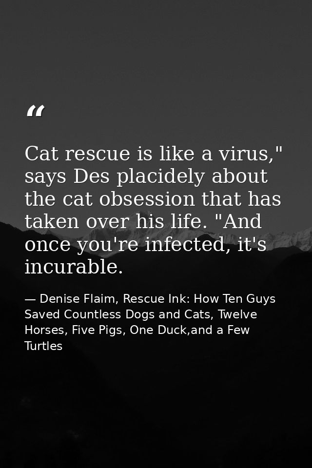 Cat rescue is like a virus," says Des placidely about the cat obsession that has taken over his life. "And once you're i — Denise Flaim, Rescue Ink: How Ten Guys Saved Countless Dogs and Cats, Twelve Horses, Five Pigs, One Duck,and a Few Turtles