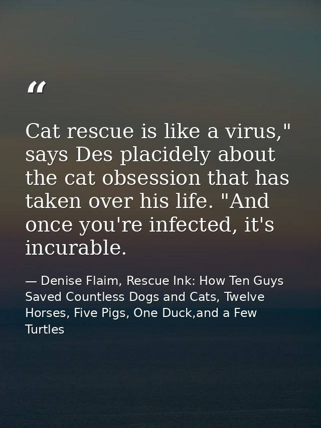 Cat rescue is like a virus," says Des placidely about the cat obsession that has taken over his life. "And once you're i — Denise Flaim, Rescue Ink: How Ten Guys Saved Countless Dogs and Cats, Twelve Horses, Five Pigs, One Duck,and a Few Turtles