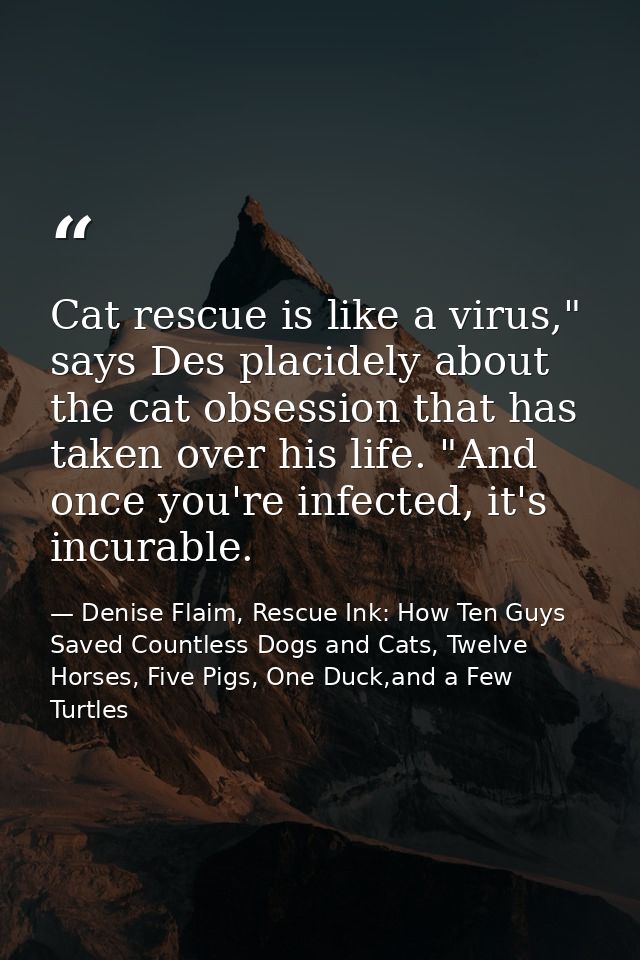 Cat rescue is like a virus," says Des placidely about the cat obsession that has taken over his life. "And once you're i — Denise Flaim, Rescue Ink: How Ten Guys Saved Countless Dogs and Cats, Twelve Horses, Five Pigs, One Duck,and a Few Turtles