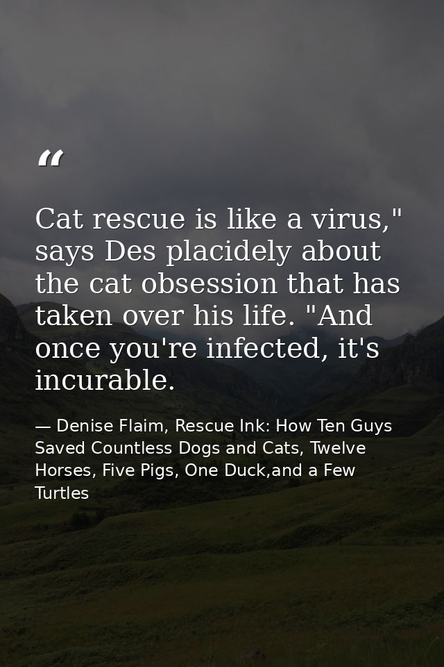 Cat rescue is like a virus," says Des placidely about the cat obsession that has taken over his life. "And once you're i — Denise Flaim, Rescue Ink: How Ten Guys Saved Countless Dogs and Cats, Twelve Horses, Five Pigs, One Duck,and a Few Turtles