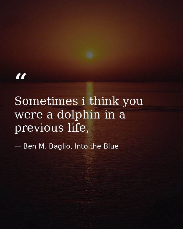 Sometimes i think you were a dolphin in a previous life, — Ben M. Baglio, Into the Blue