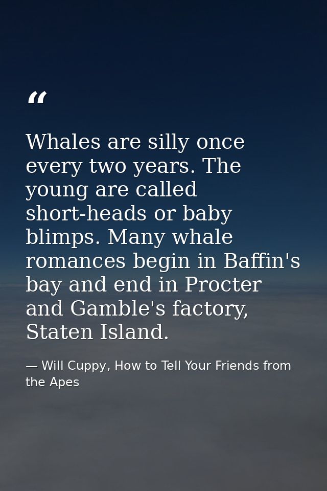 Whales are silly once every two years. The young are called short-heads or baby blimps. Many whale romances begin in Baf — Will Cuppy, How to Tell Your Friends from the Apes