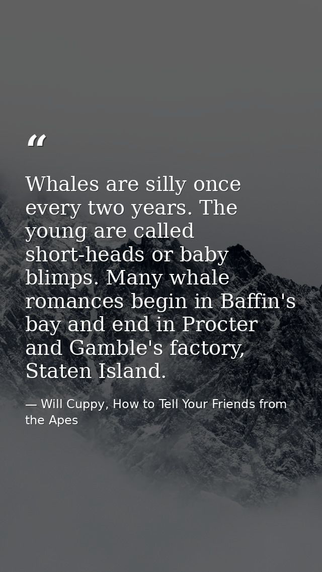 Whales are silly once every two years. The young are called short-heads or baby blimps. Many whale romances begin in Baf — Will Cuppy, How to Tell Your Friends from the Apes