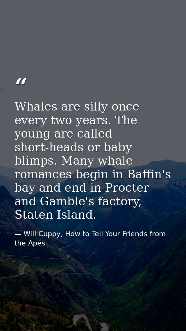 Whales are silly once every two years. The young are called short-heads or baby blimps. Many whale romances begin in Baf — Will Cuppy, How to Tell Your Friends from the Apes