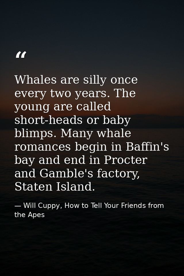 Whales are silly once every two years. The young are called short-heads or baby blimps. Many whale romances begin in Baf — Will Cuppy, How to Tell Your Friends from the Apes