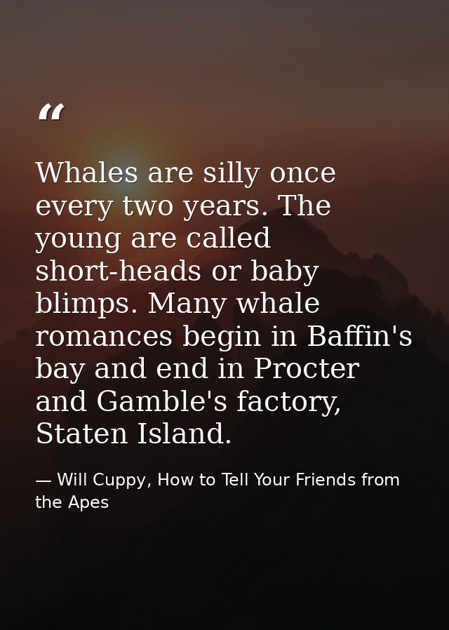 Whales are silly once every two years. The young are called short-heads or baby blimps. Many whale romances begin in Baf — Will Cuppy, How to Tell Your Friends from the Apes