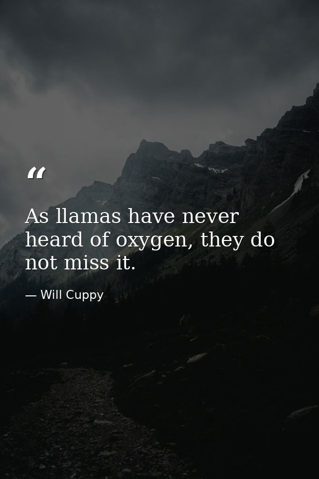 As llamas have never heard of oxygen, they do not miss it. — Will Cuppy