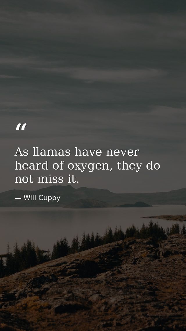 As llamas have never heard of oxygen, they do not miss it. — Will Cuppy