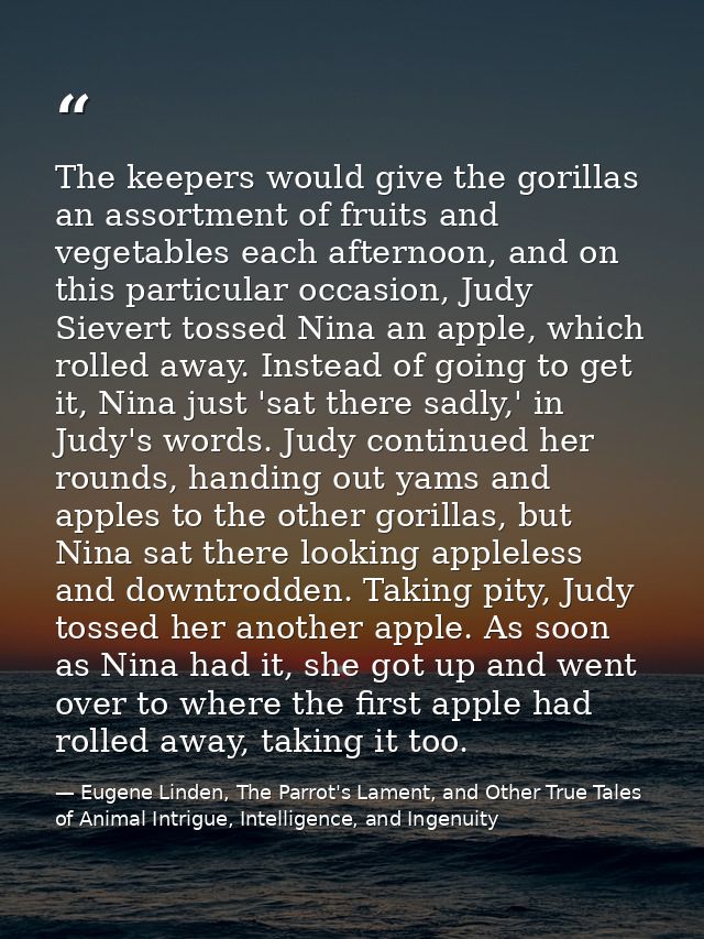 The keepers would give the gorillas an assortment of fruits and vegetables each afternoon, and on this particular occasi — Eugene Linden, The Parrot's Lament, and Other True Tales of Animal Intrigue, Intelligence, and Ingenuity