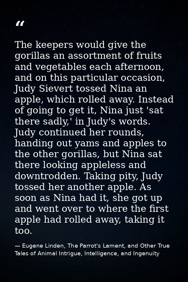 The keepers would give the gorillas an assortment of fruits and vegetables each afternoon, and on this particular occasi — Eugene Linden, The Parrot's Lament, and Other True Tales of Animal Intrigue, Intelligence, and Ingenuity