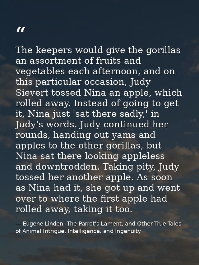 The keepers would give the gorillas an assortment of fruits and vegetables each afternoon, and on this particular occasi — Eugene Linden, The Parrot's Lament, and Other True Tales of Animal Intrigue, Intelligence, and Ingenuity