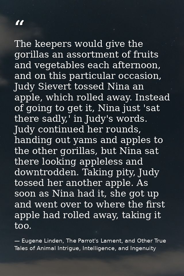 The keepers would give the gorillas an assortment of fruits and vegetables each afternoon, and on this particular occasi — Eugene Linden, The Parrot's Lament, and Other True Tales of Animal Intrigue, Intelligence, and Ingenuity