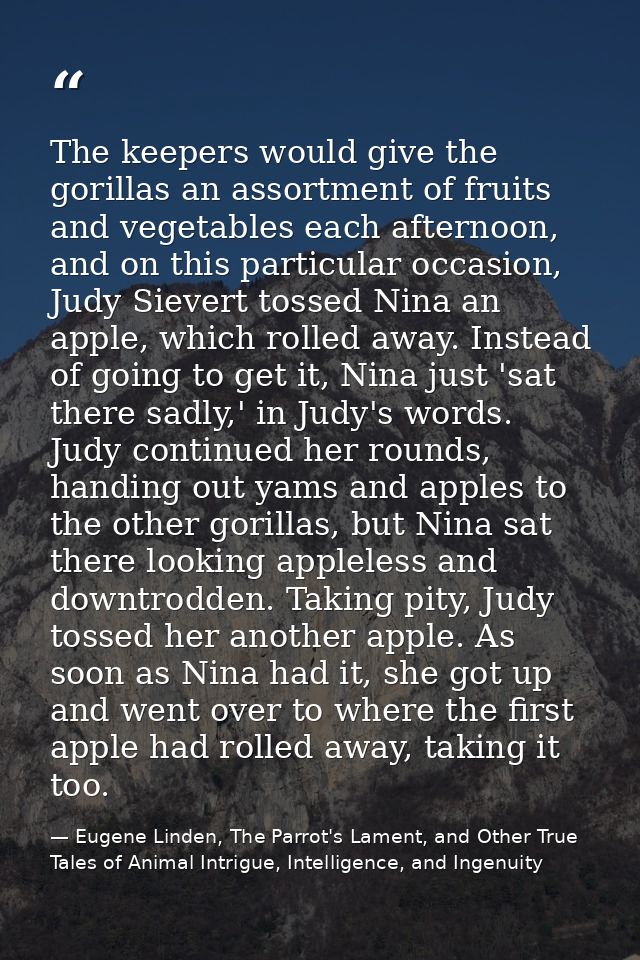 The keepers would give the gorillas an assortment of fruits and vegetables each afternoon, and on this particular occasi — Eugene Linden, The Parrot's Lament, and Other True Tales of Animal Intrigue, Intelligence, and Ingenuity