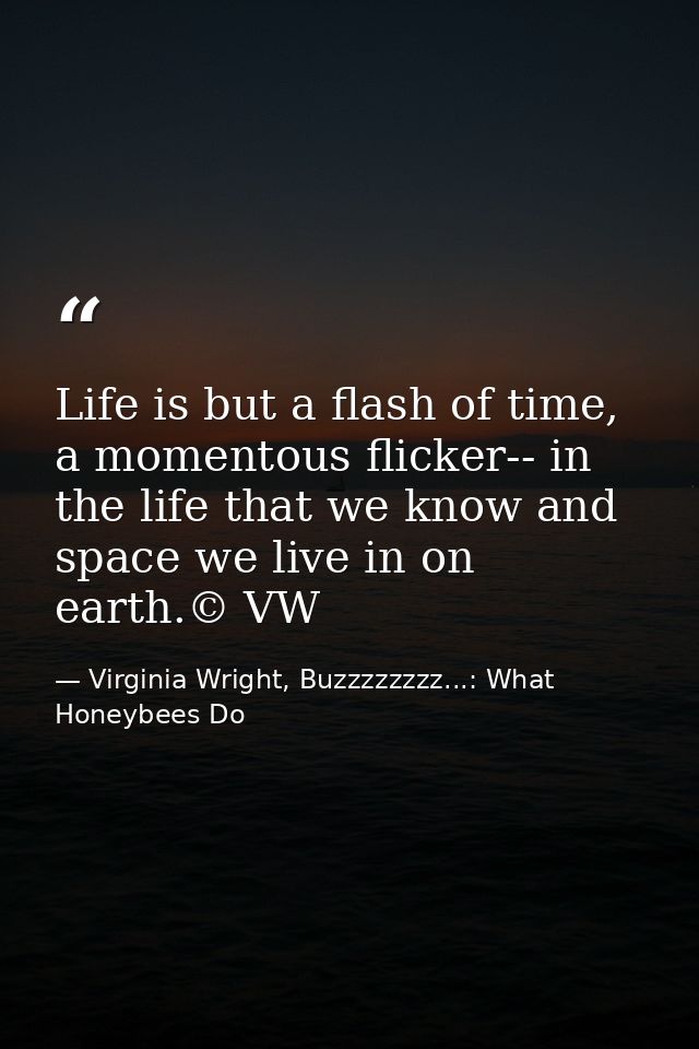 Life is but a flash of time, a momentous flicker-- in the life that we know and space we live in on earth.© VW — Virginia Wright, Buzzzzzzzz...: What Honeybees Do