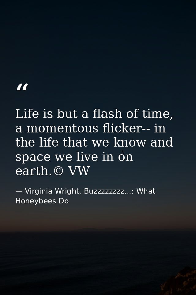 Life is but a flash of time, a momentous flicker-- in the life that we know and space we live in on earth.© VW — Virginia Wright, Buzzzzzzzz...: What Honeybees Do