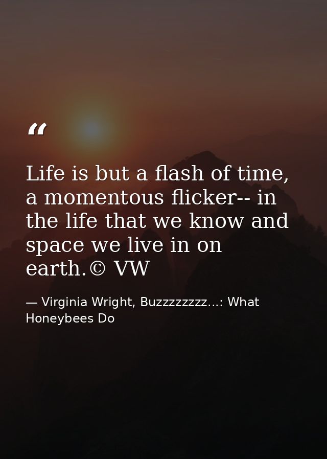 Life is but a flash of time, a momentous flicker-- in the life that we know and space we live in on earth.© VW — Virginia Wright, Buzzzzzzzz...: What Honeybees Do