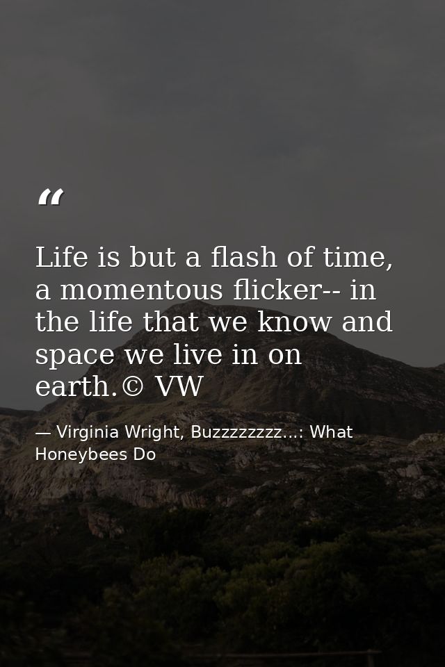 Life is but a flash of time, a momentous flicker-- in the life that we know and space we live in on earth.© VW — Virginia Wright, Buzzzzzzzz...: What Honeybees Do