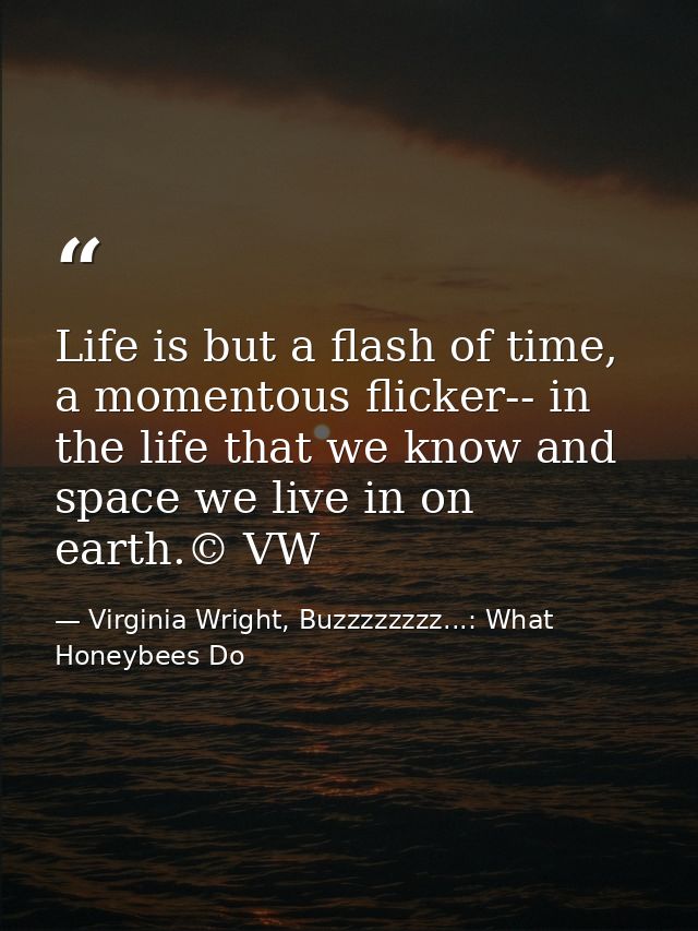 Life is but a flash of time, a momentous flicker-- in the life that we know and space we live in on earth.© VW — Virginia Wright, Buzzzzzzzz...: What Honeybees Do