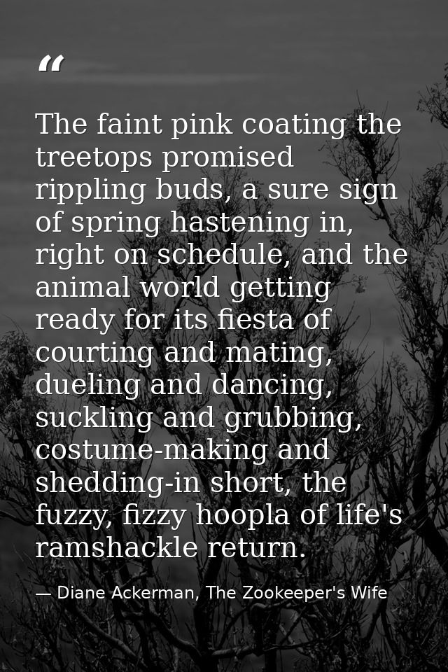 The faint pink coating the treetops promised rippling buds, a sure sign of spring hastening in, right on schedule, and t — Diane Ackerman, The Zookeeper's Wife