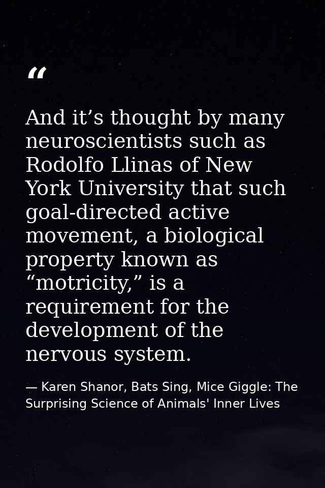 And it’s thought by many neuroscientists such as Rodolfo Llinas of New York University that such goal-directed active mo — Karen Shanor, Bats Sing, Mice Giggle: The Surprising Science of Animals' Inner Lives