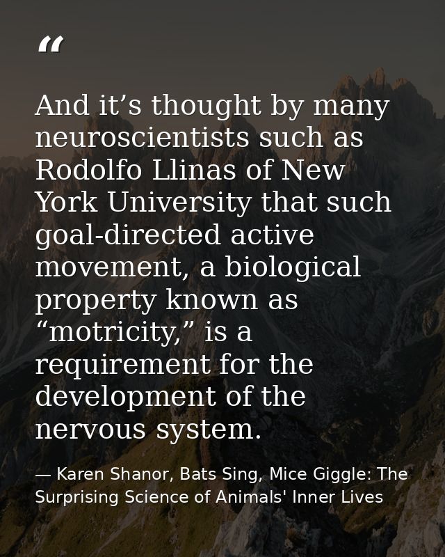 And it’s thought by many neuroscientists such as Rodolfo Llinas of New York University that such goal-directed active mo — Karen Shanor, Bats Sing, Mice Giggle: The Surprising Science of Animals' Inner Lives