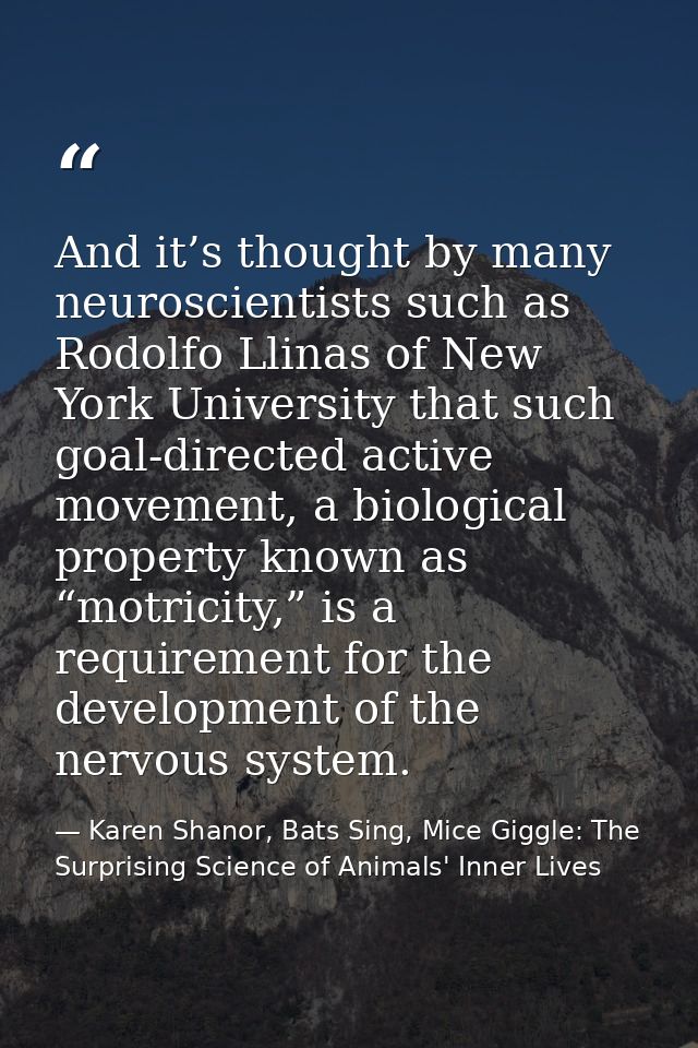 And it’s thought by many neuroscientists such as Rodolfo Llinas of New York University that such goal-directed active mo — Karen Shanor, Bats Sing, Mice Giggle: The Surprising Science of Animals' Inner Lives