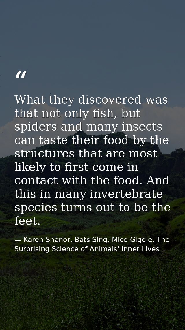 What they discovered was that not only fish, but spiders and many insects can taste their food by the structures that ar — Karen Shanor, Bats Sing, Mice Giggle: The Surprising Science of Animals' Inner Lives