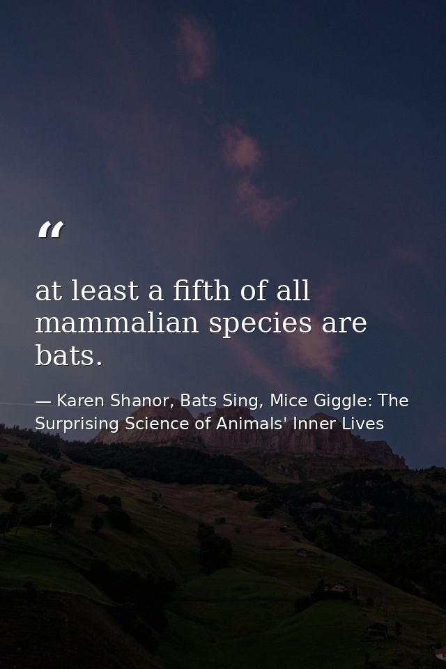 at least a fifth of all mammalian species are bats. — Karen Shanor, Bats Sing, Mice Giggle: The Surprising Science of Animals' Inner Lives