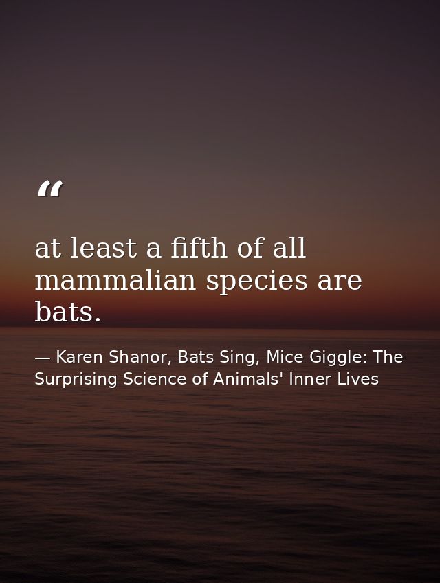 at least a fifth of all mammalian species are bats. — Karen Shanor, Bats Sing, Mice Giggle: The Surprising Science of Animals' Inner Lives