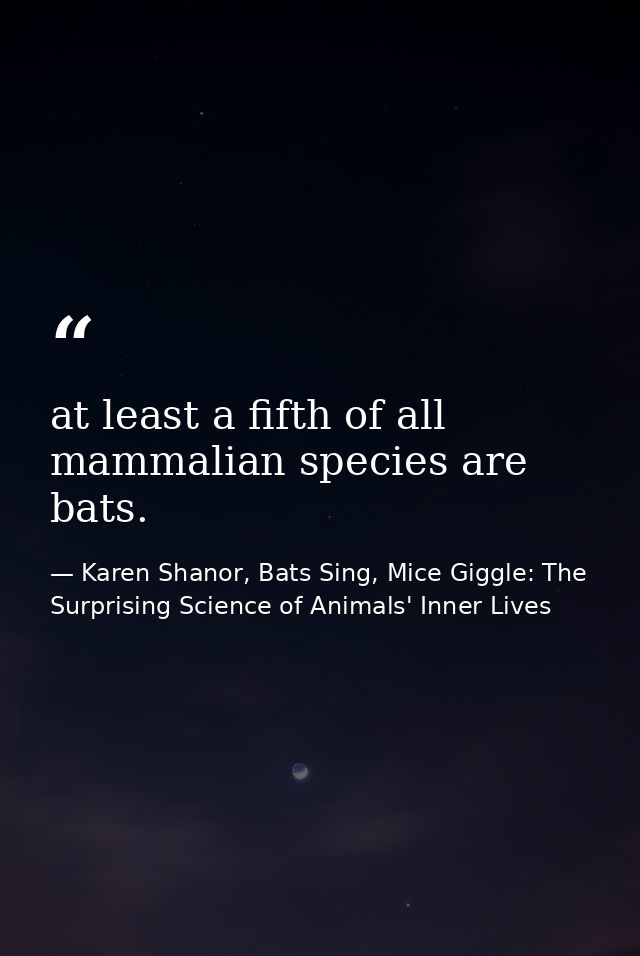 at least a fifth of all mammalian species are bats. — Karen Shanor, Bats Sing, Mice Giggle: The Surprising Science of Animals' Inner Lives