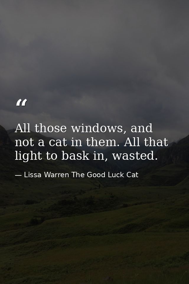All those windows, and not a cat in them. All that light to bask in, wasted. — Lissa Warren The Good Luck Cat