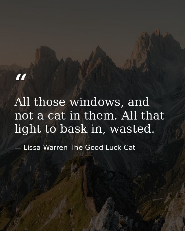 All those windows, and not a cat in them. All that light to bask in, wasted. — Lissa Warren The Good Luck Cat