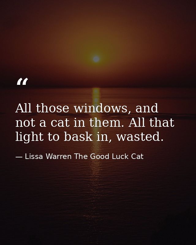 All those windows, and not a cat in them. All that light to bask in, wasted. — Lissa Warren The Good Luck Cat