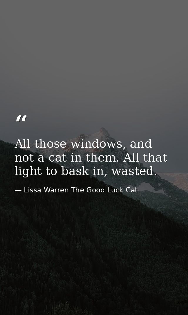 All those windows, and not a cat in them. All that light to bask in, wasted. — Lissa Warren The Good Luck Cat