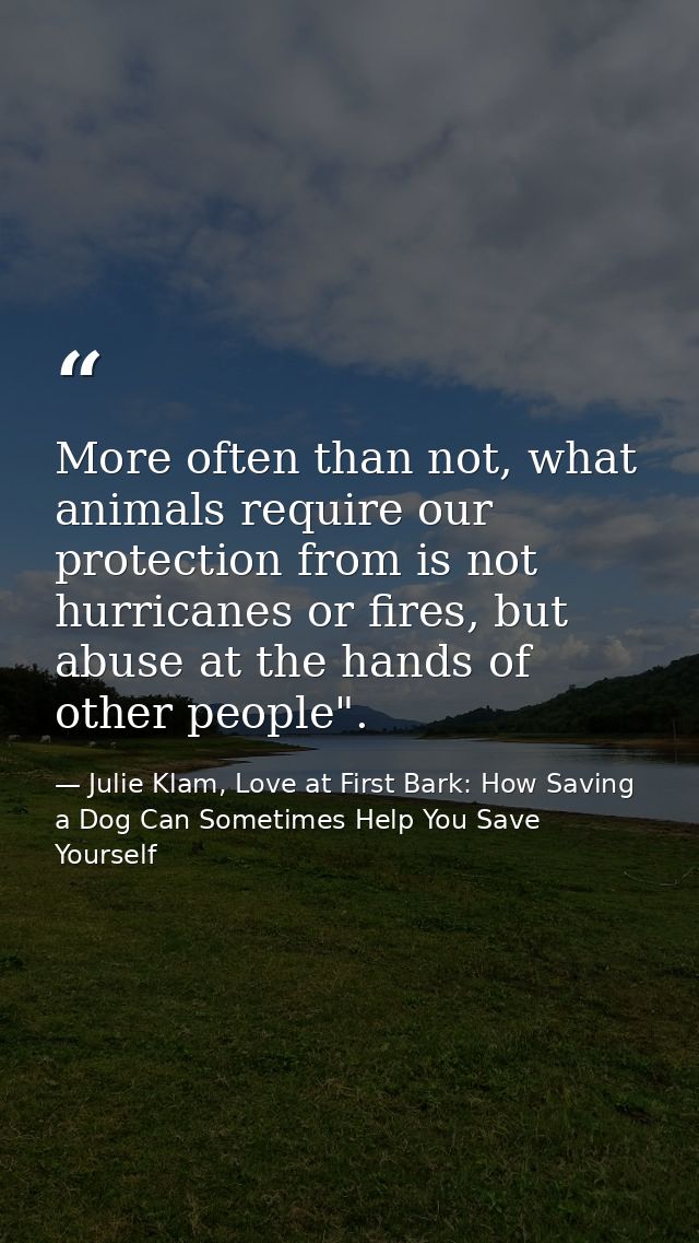 More often than not, what animals require our protection from is not hurricanes or fires, but abuse at the hands of othe — Julie Klam, Love at First Bark: How Saving a Dog Can Sometimes Help You Save Yourself
