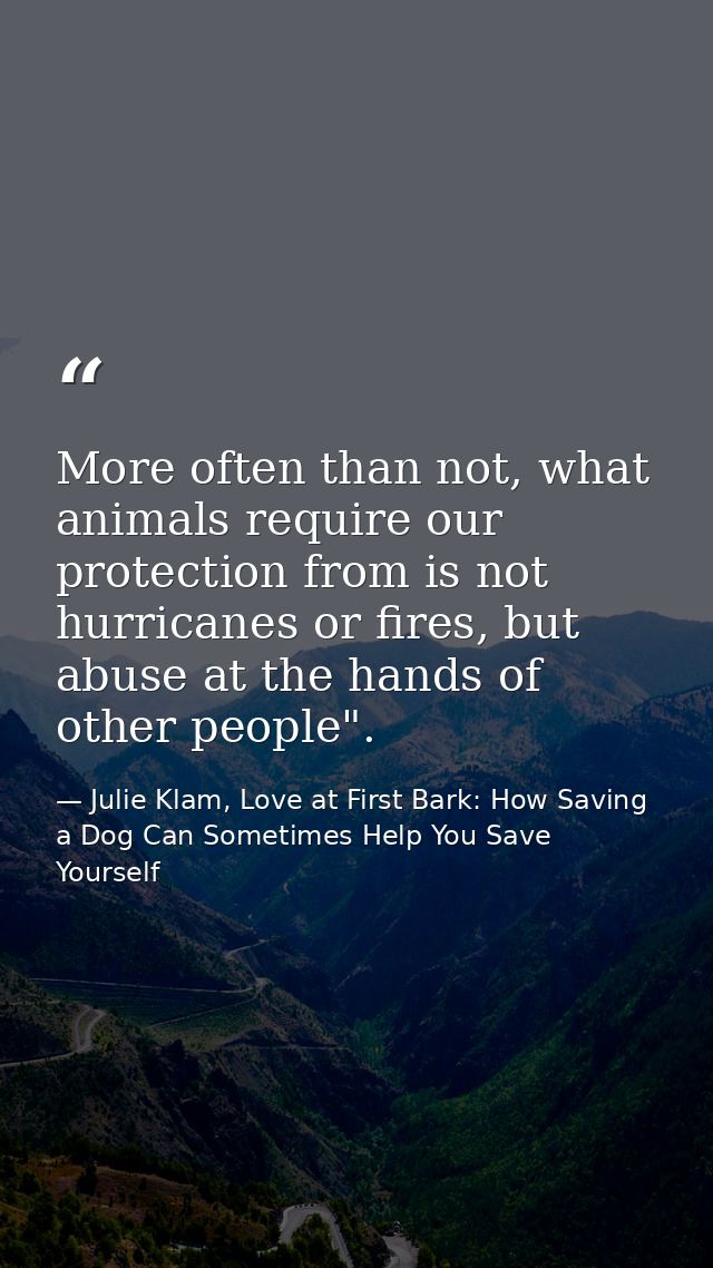 More often than not, what animals require our protection from is not hurricanes or fires, but abuse at the hands of othe — Julie Klam, Love at First Bark: How Saving a Dog Can Sometimes Help You Save Yourself