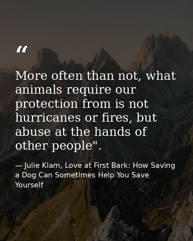 More often than not, what animals require our protection from is not hurricanes or fires, but abuse at the hands of othe — Julie Klam, Love at First Bark: How Saving a Dog Can Sometimes Help You Save Yourself