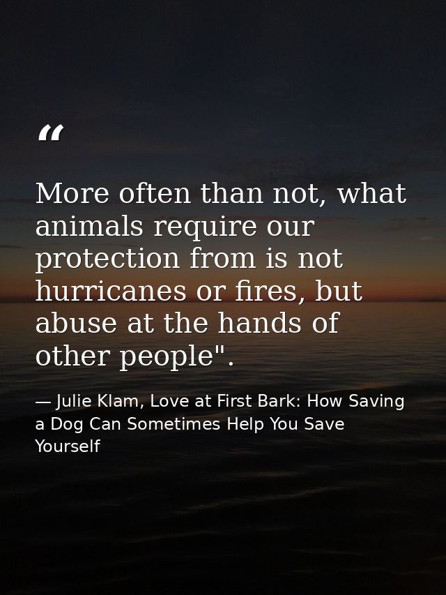 More often than not, what animals require our protection from is not hurricanes or fires, but abuse at the hands of othe — Julie Klam, Love at First Bark: How Saving a Dog Can Sometimes Help You Save Yourself