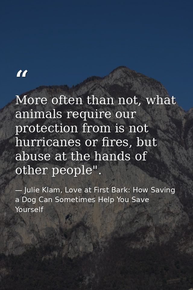 More often than not, what animals require our protection from is not hurricanes or fires, but abuse at the hands of othe — Julie Klam, Love at First Bark: How Saving a Dog Can Sometimes Help You Save Yourself