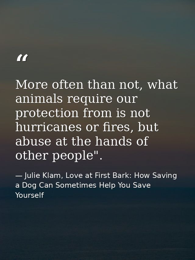 More often than not, what animals require our protection from is not hurricanes or fires, but abuse at the hands of othe — Julie Klam, Love at First Bark: How Saving a Dog Can Sometimes Help You Save Yourself