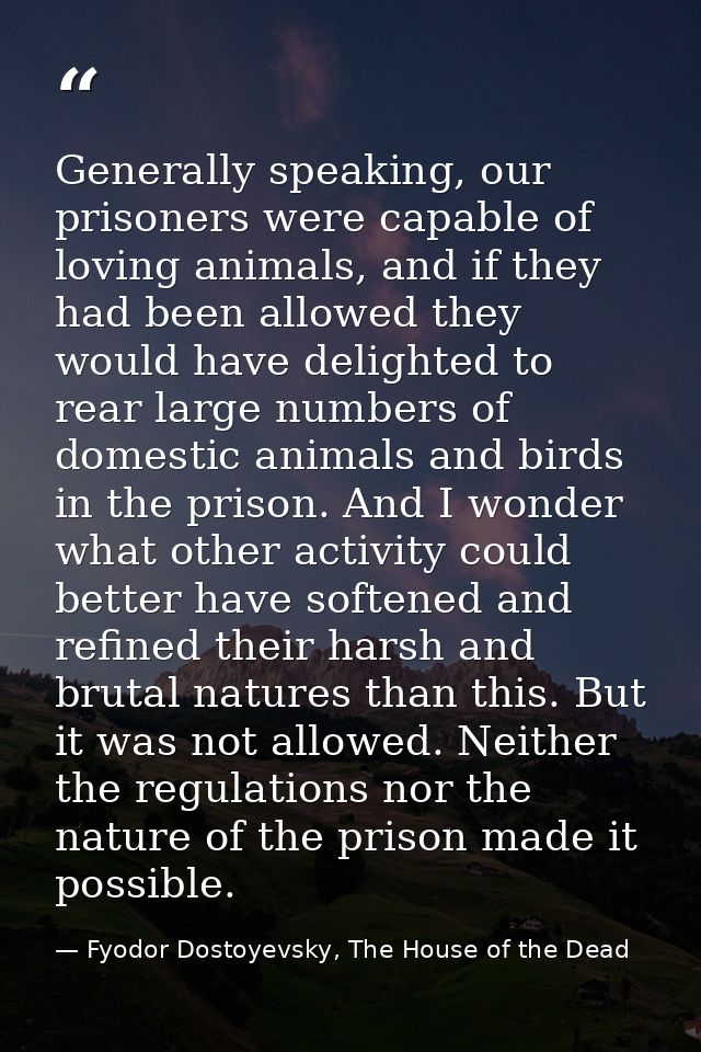 Generally speaking, our prisoners were capable of loving animals, and if they had been allowed they would have delighted — Fyodor Dostoyevsky, The House of the Dead