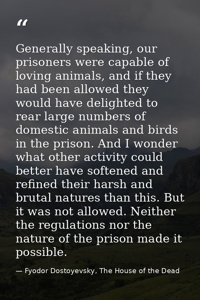 Generally speaking, our prisoners were capable of loving animals, and if they had been allowed they would have delighted — Fyodor Dostoyevsky, The House of the Dead