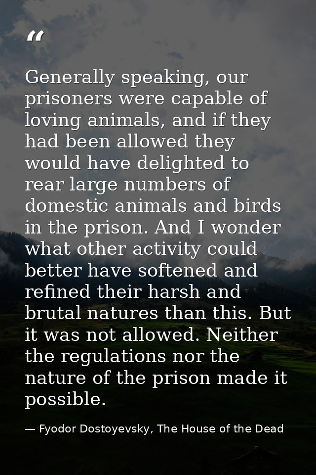 Generally speaking, our prisoners were capable of loving animals, and if they had been allowed they would have delighted — Fyodor Dostoyevsky, The House of the Dead