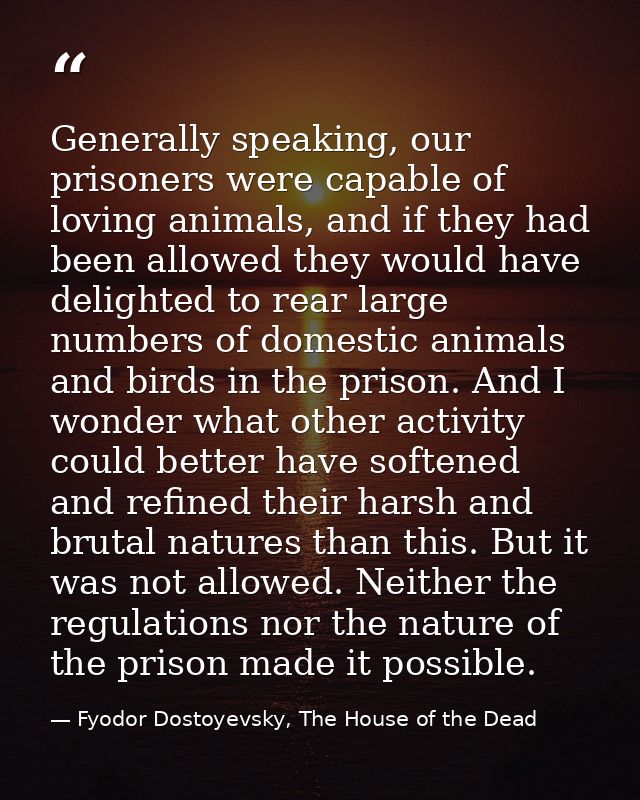 Generally speaking, our prisoners were capable of loving animals, and if they had been allowed they would have delighted — Fyodor Dostoyevsky, The House of the Dead