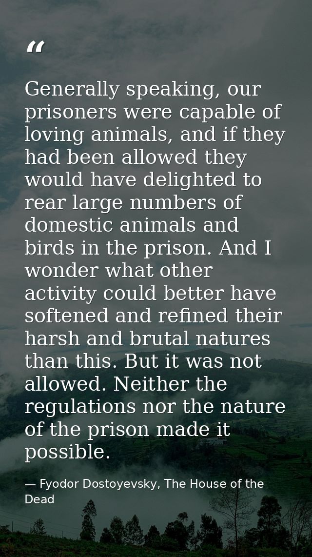 Generally speaking, our prisoners were capable of loving animals, and if they had been allowed they would have delighted — Fyodor Dostoyevsky, The House of the Dead