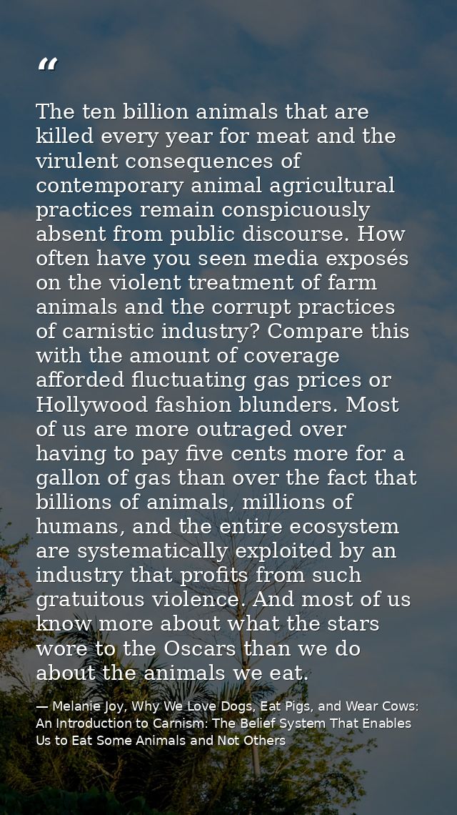 The ten billion animals that are killed every year for meat and the virulent consequences of contemporary animal agricul — Melanie Joy, Why We Love Dogs, Eat Pigs, and Wear Cows: An Introduction to Carnism: The Belief System That Enables Us to Eat Some Animals and Not Others