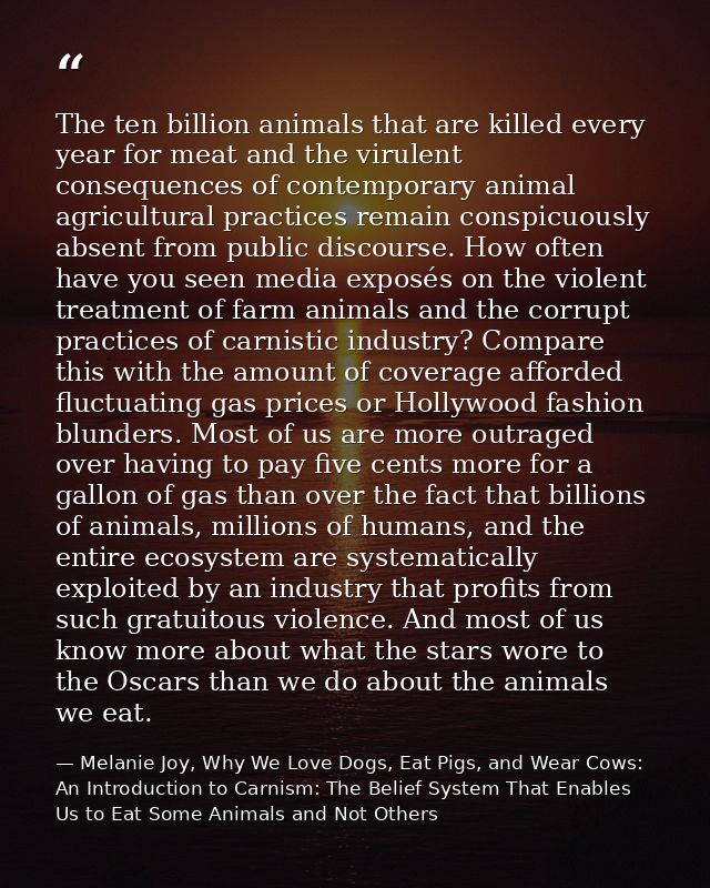 The ten billion animals that are killed every year for meat and the virulent consequences of contemporary animal agricul — Melanie Joy, Why We Love Dogs, Eat Pigs, and Wear Cows: An Introduction to Carnism: The Belief System That Enables Us to Eat Some Animals and Not Others