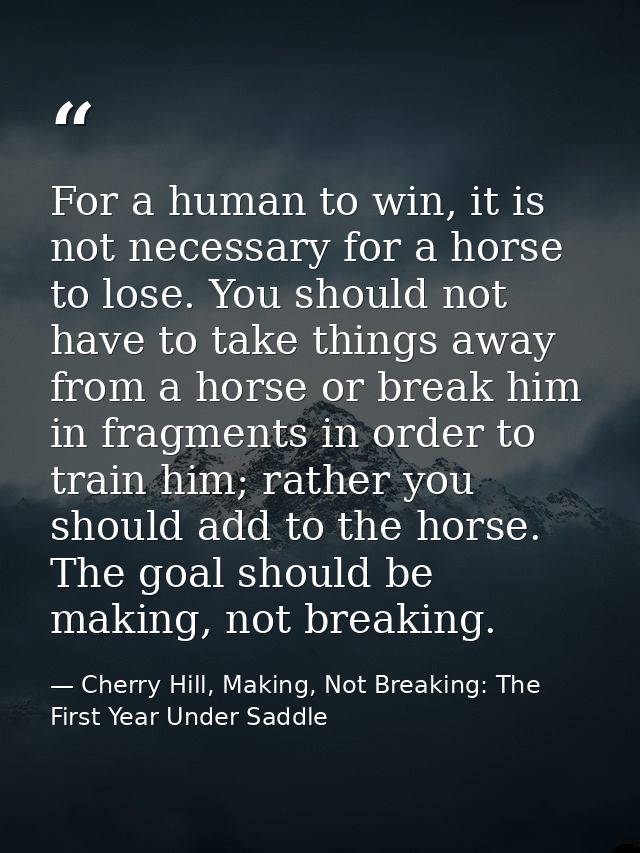 For a human to win, it is not necessary for a horse to lose. You should not have to take things away from a horse or bre — Cherry Hill, Making, Not Breaking: The First Year Under Saddle