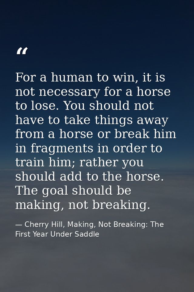 For a human to win, it is not necessary for a horse to lose. You should not have to take things away from a horse or bre — Cherry Hill, Making, Not Breaking: The First Year Under Saddle